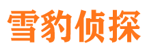 崇仁找人公司